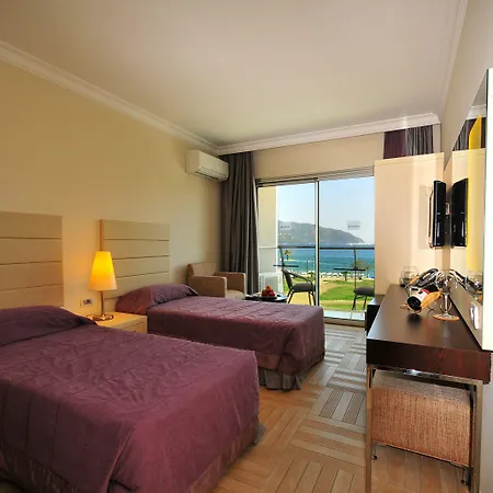 酒店 白金蓝湾酒店