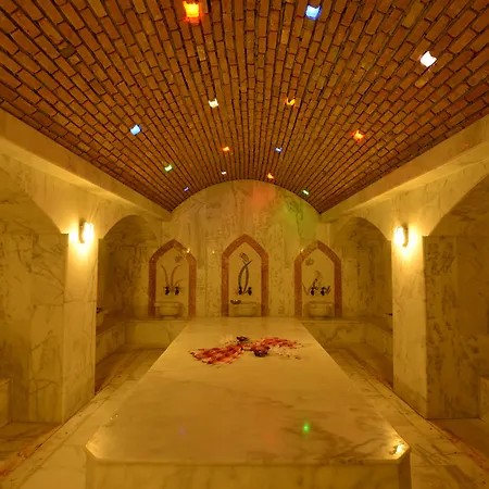 酒店 白金蓝湾酒店 5*