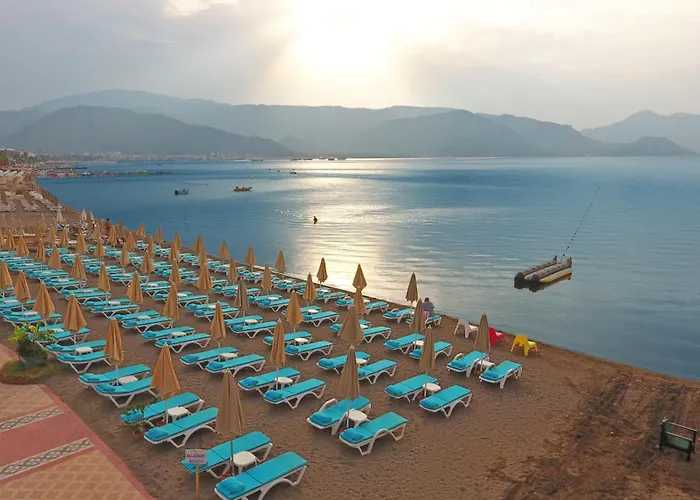 بلو بي بلاتينيوم